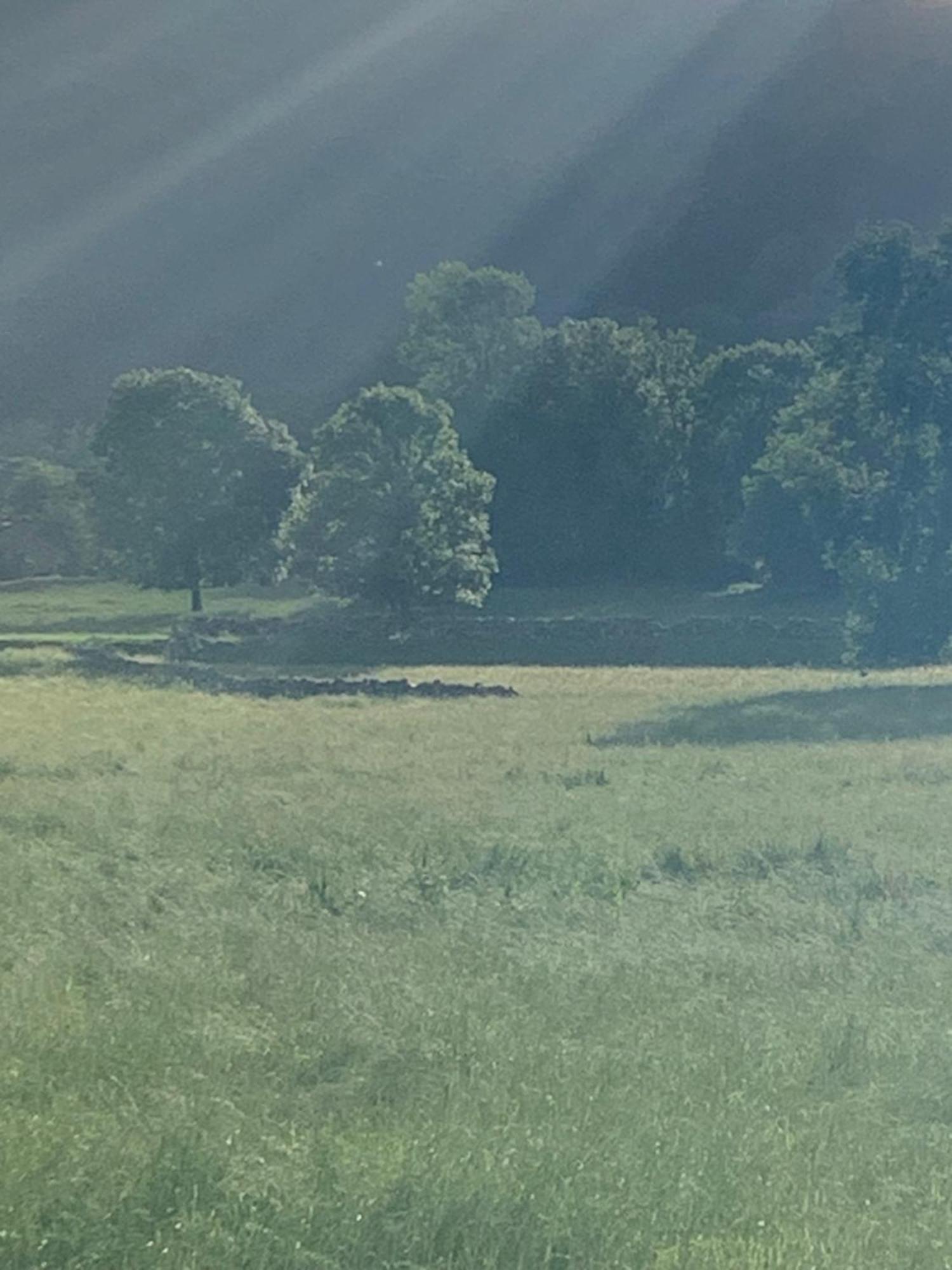 Vila Remanso Del Rio Saja Renedo De Cabuerniga Exteriér fotografie