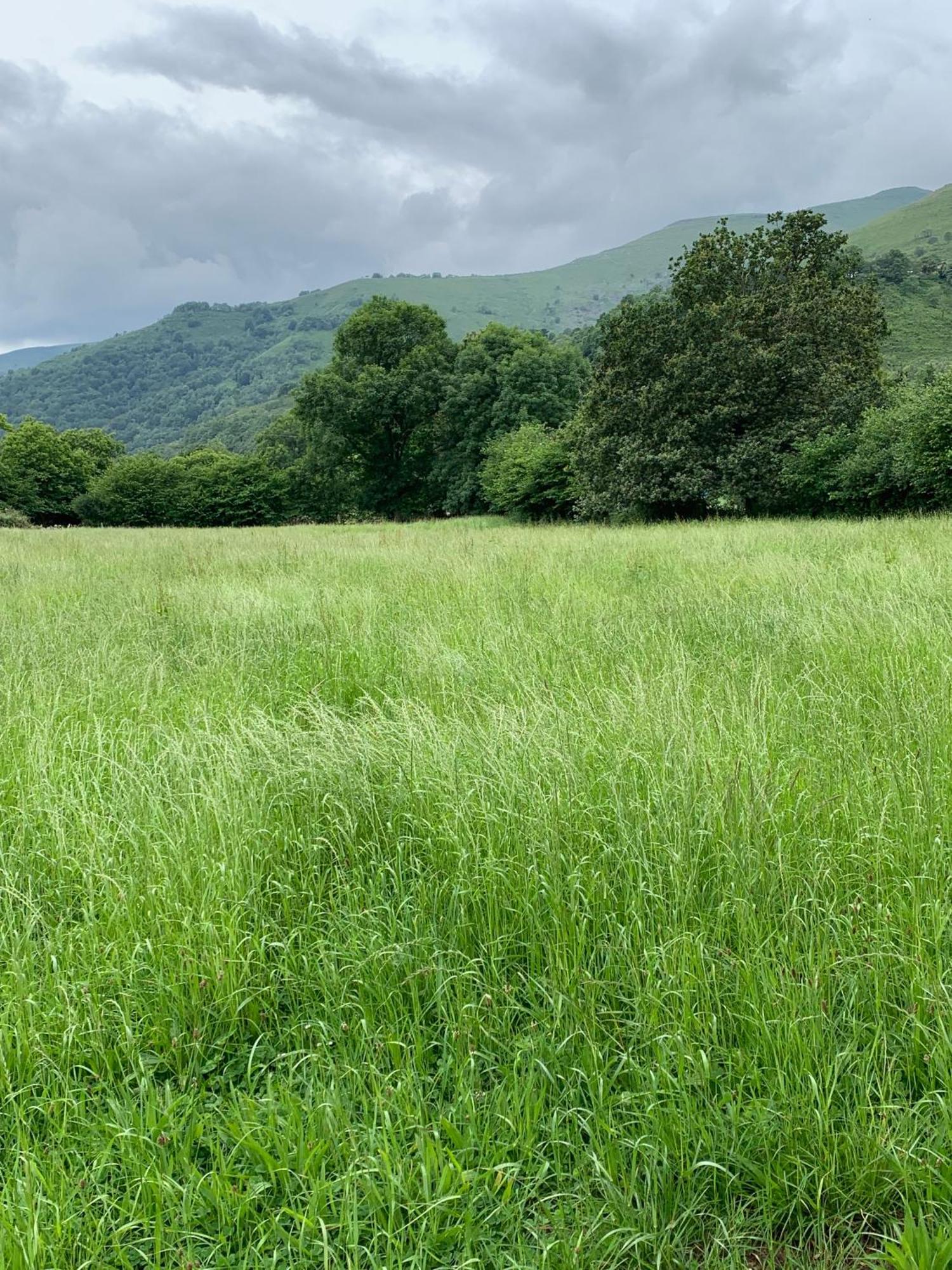 Vila Remanso Del Rio Saja Renedo De Cabuerniga Exteriér fotografie