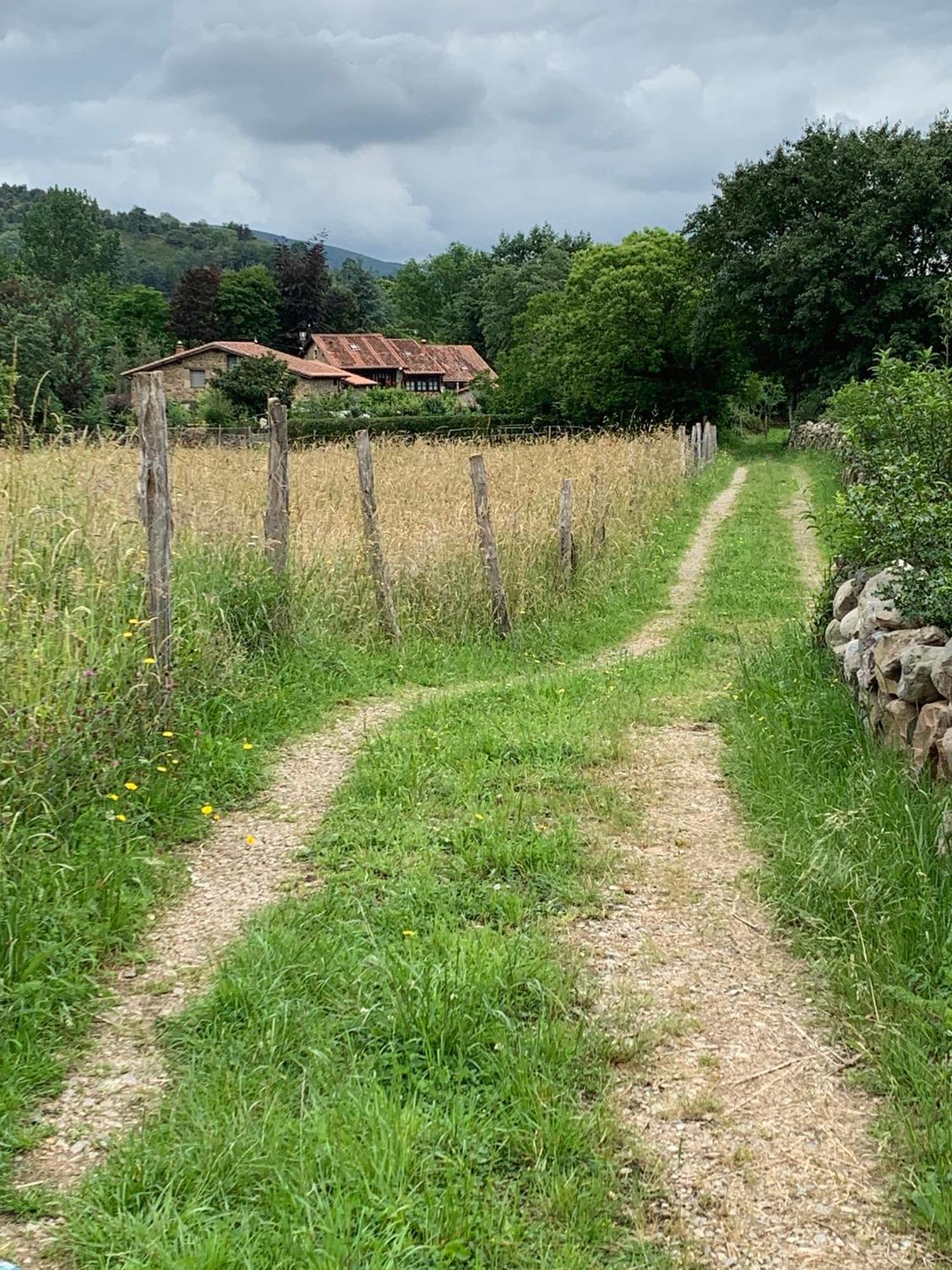 Vila Remanso Del Rio Saja Renedo De Cabuerniga Exteriér fotografie