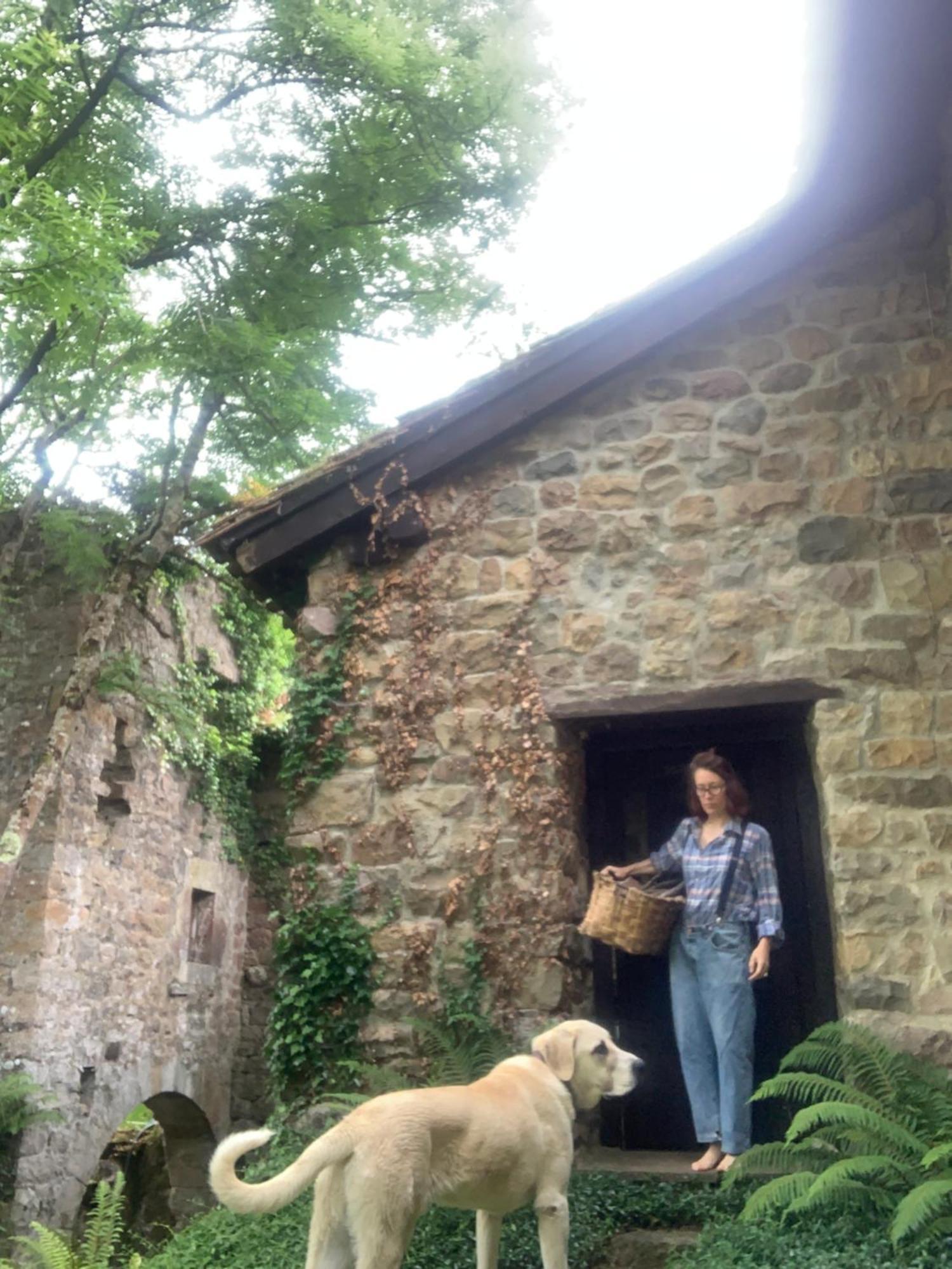 Vila Remanso Del Rio Saja Renedo De Cabuerniga Exteriér fotografie