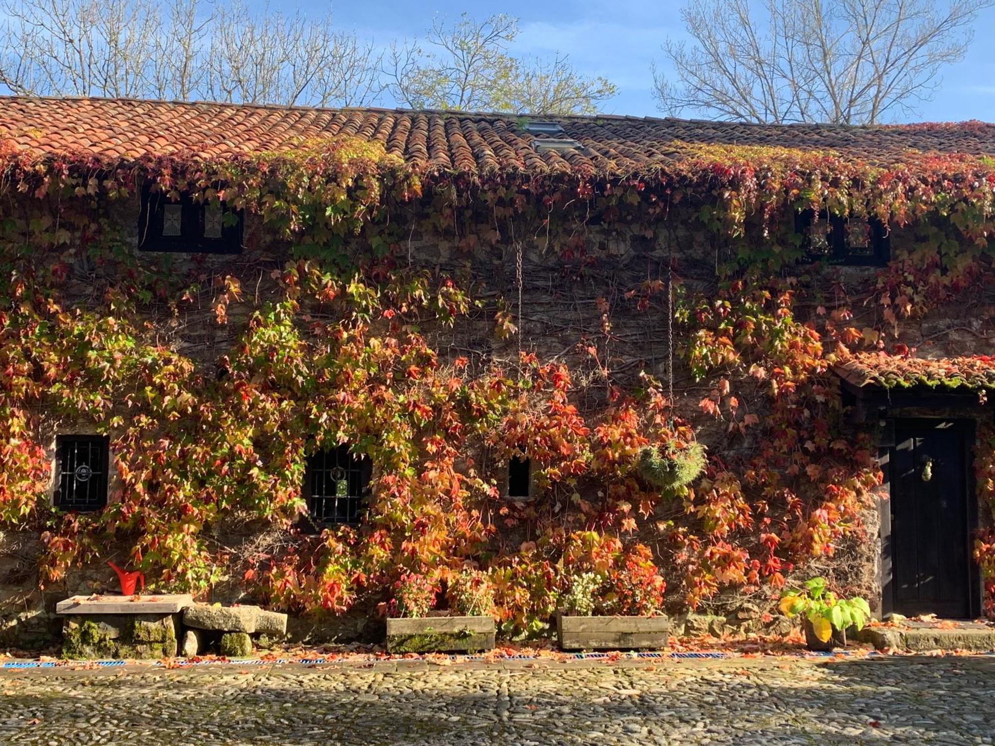 Vila Remanso Del Rio Saja Renedo De Cabuerniga Exteriér fotografie